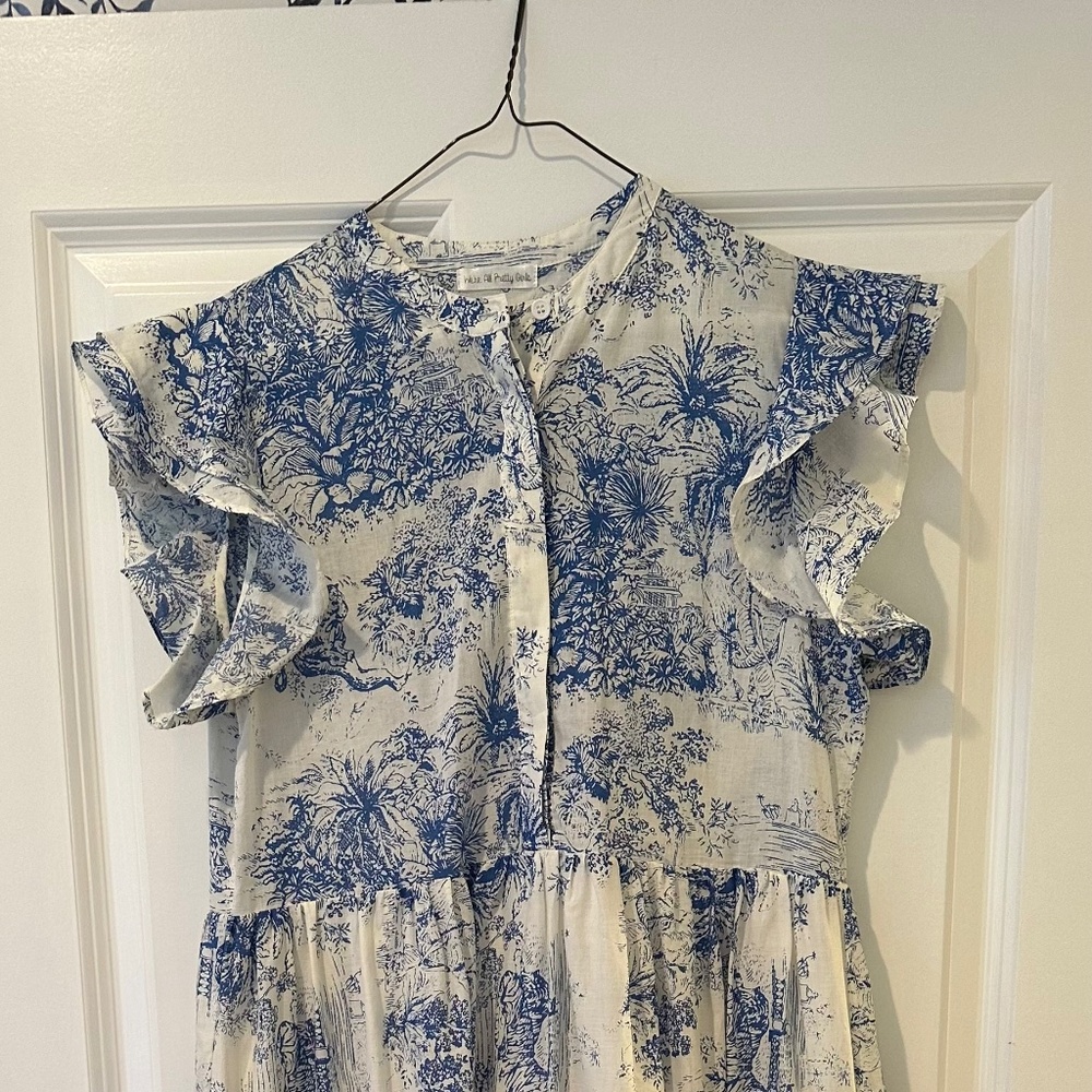 Blue Toile Dress